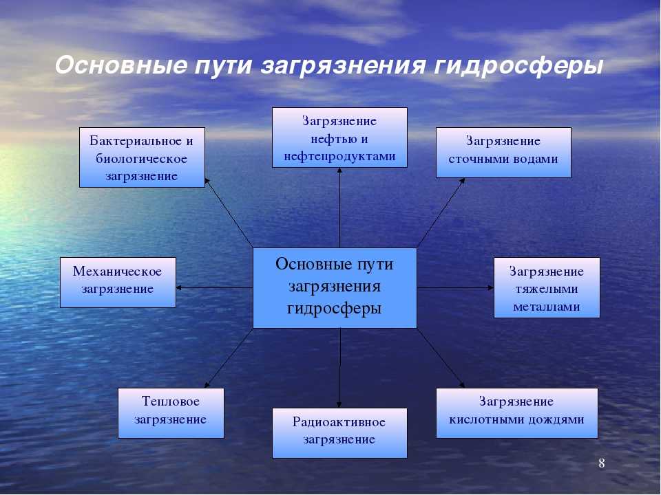 Скрипят двери в машине при открывании: причины скрипа и материалы, чем можно смазать