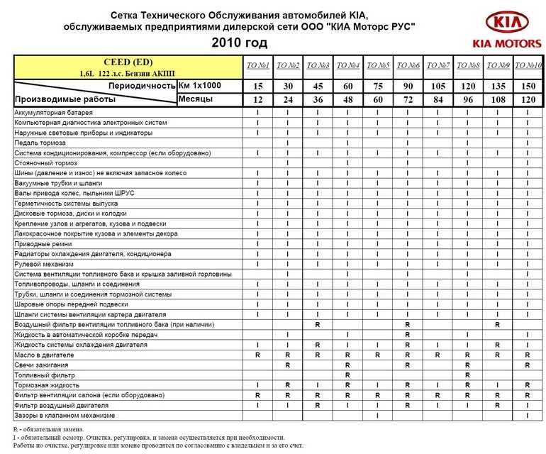 Человек в цифрах: интересные факты о человеческом теле • всезнаешь.ру