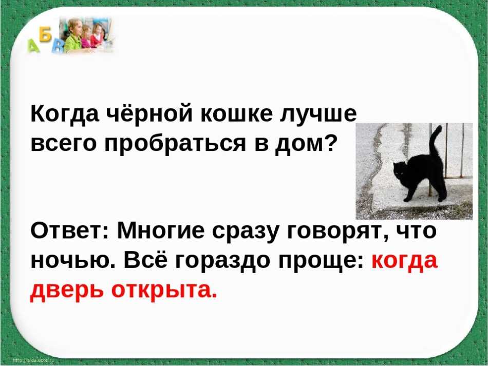 Дерево-головоломка обезьяны: необычное и исчезающее растение