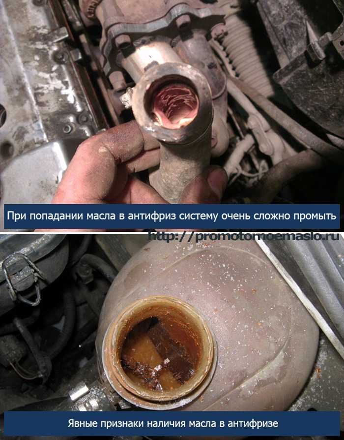 Масло в антифризе: возможные причины, признаки примеси масла, способы устранения проблемы