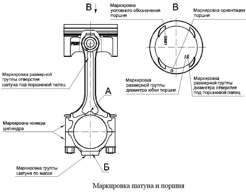 Мифы и факты. объясняем рационально древнегреческие мифы — нож