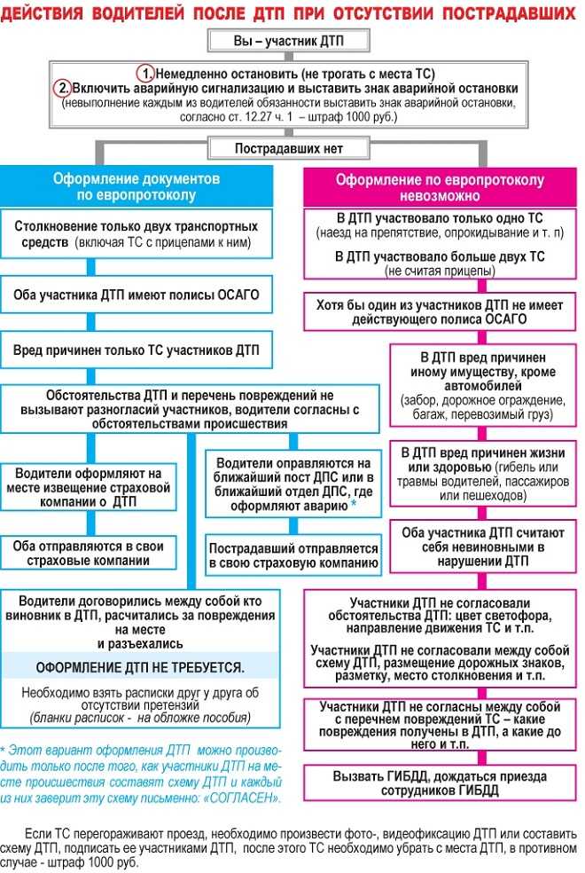 Попал в дтп без страховки и я не виноват — что делать и выплатят ли страховку в 2023 году?