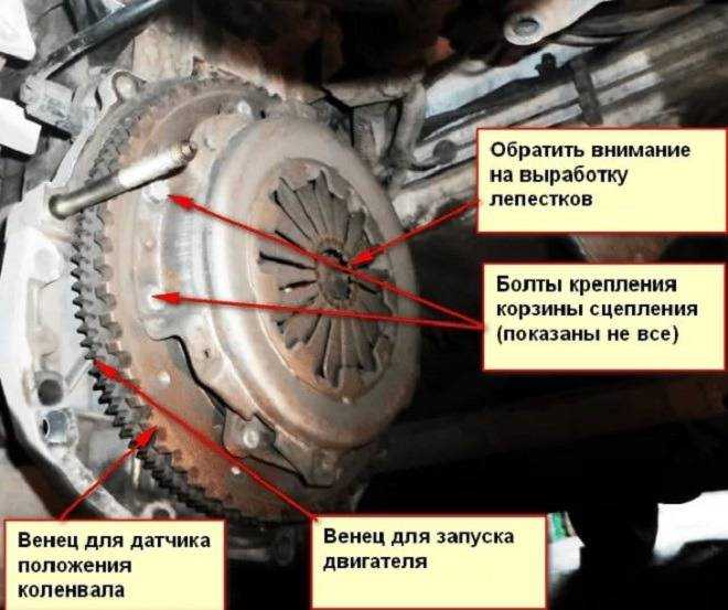 Причины и способы устранения свиста из-под капота