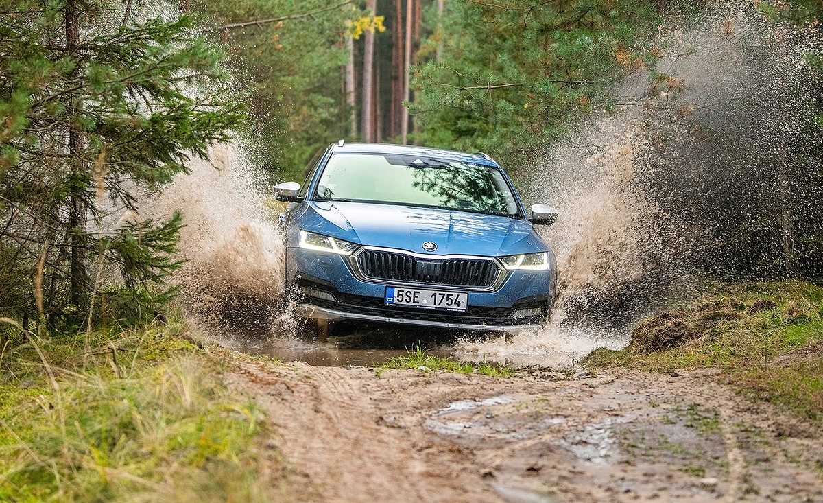 Лучший выбор за свои деньги: обзор skoda fabia ii поколения