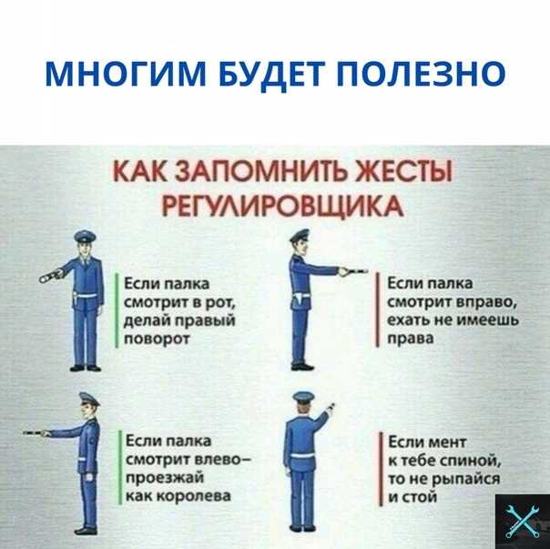 Как быстро выучить пдд: эффективные способы изучения правил дорожного движения
