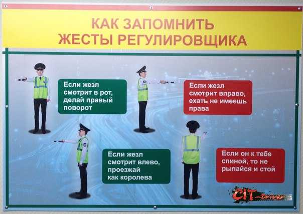 Как выучить пдд и как можно быстрее подготовиться к экзамену? - блог викиум